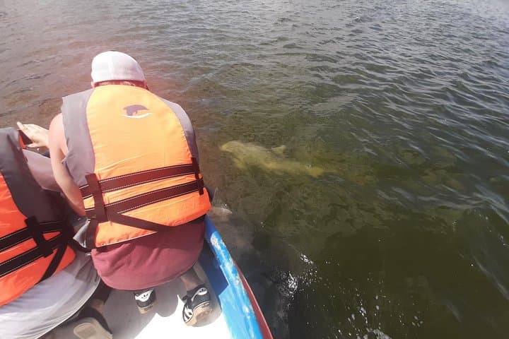 Dolphin Watching from Guayaquil to Puerto El Morro — Full-Day Coastal Wildlife Cruise photo 6