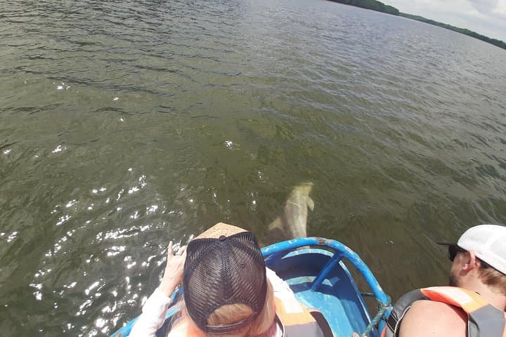 Dolphin Watching from Guayaquil to Puerto El Morro — Full-Day Coastal Wildlife Cruise