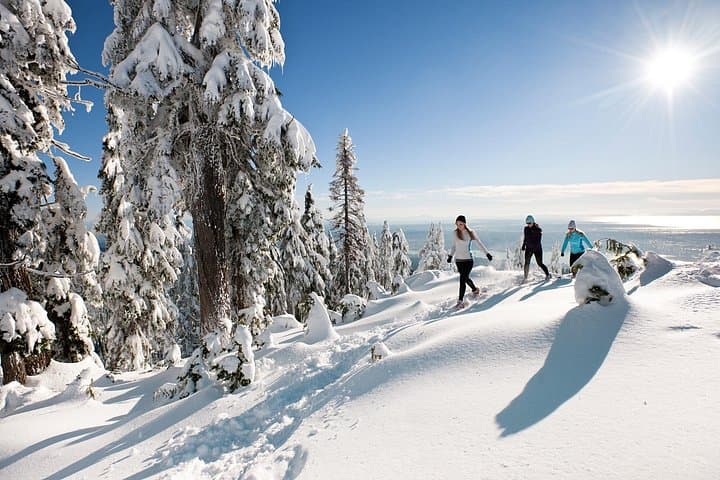 Capilano Suspension Bridge and Grouse Mountain Private Tour — Skip-the-Line Vancouver Day Trip photo 3