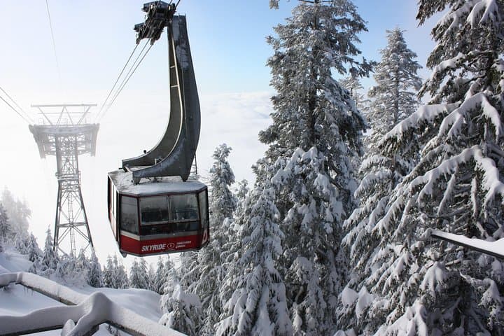 Capilano Suspension Bridge and Grouse Mountain Private Tour — Skip-the-Line Vancouver Day Trip photo 1