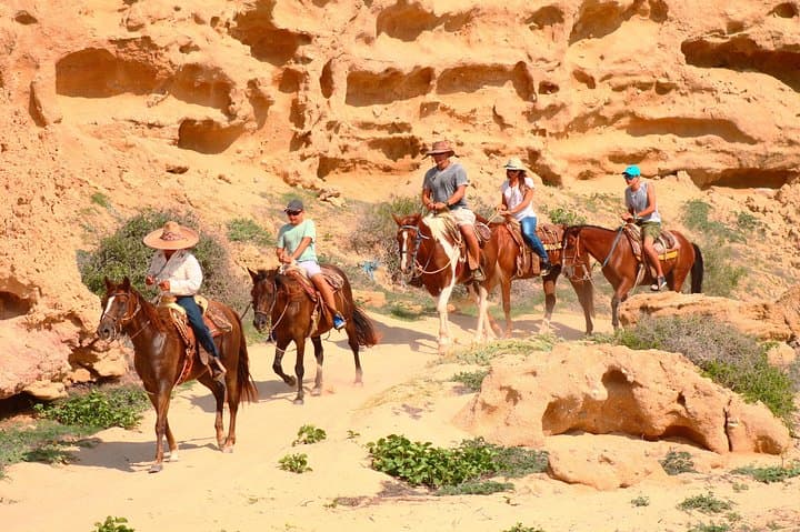 Cabo Desert ATV and Beach Horseback Combo — Desert to Pacific Adventure photo 3