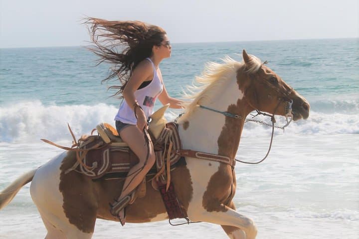 Cabo Desert ATV and Beach Horseback Combo — Desert to Pacific Adventure photo 5