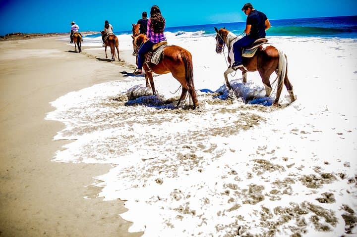 Cabo Desert ATV and Beach Horseback Combo — Desert to Pacific Adventure photo 6