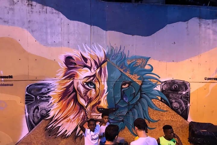 Medellín City & Commune 13 Graffiti Tour: Full-Day Private Cultural Experience photo 4
