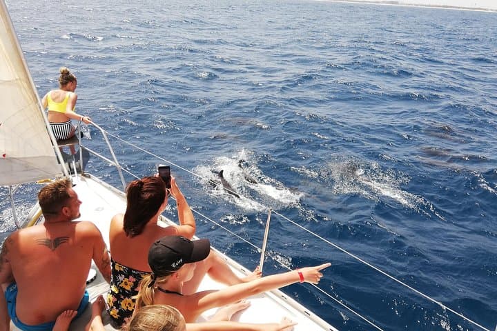 Private Half-Day Sailing on Yacht Lucy in Sal, Cape Verde photo 3
