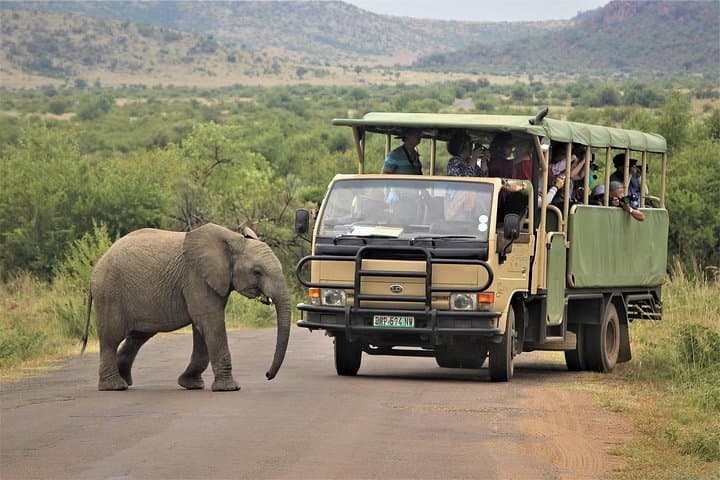 5-Day Garden Route Adventure from Cape Town — Addo Safari, Tsitsikamma, Knysna & Bloukrans Bungy photo 2