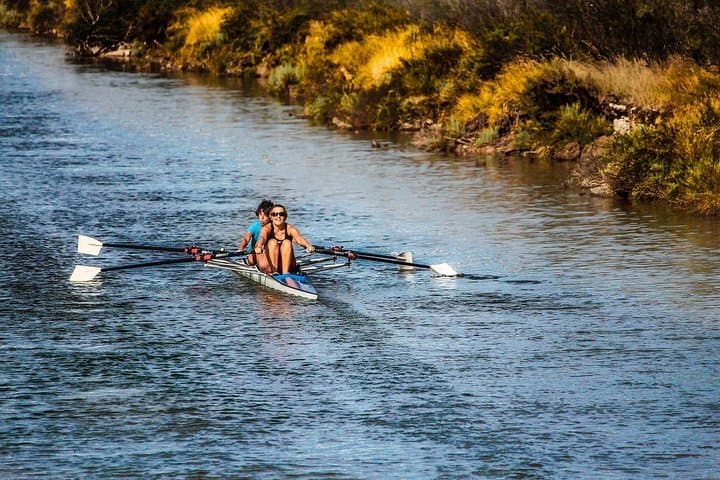 5-Day Garden Route Adventure from Cape Town — Addo Safari, Tsitsikamma, Knysna & Bloukrans Bungy photo 6