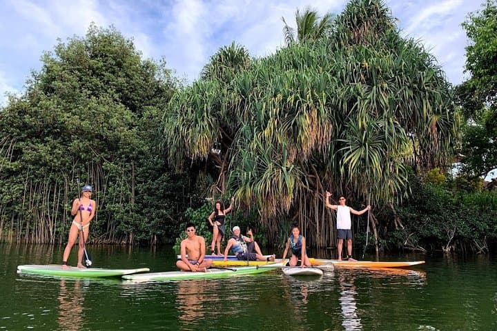 Haleiwa SUP Lesson and Turtle Tour on the Anahulu Stream