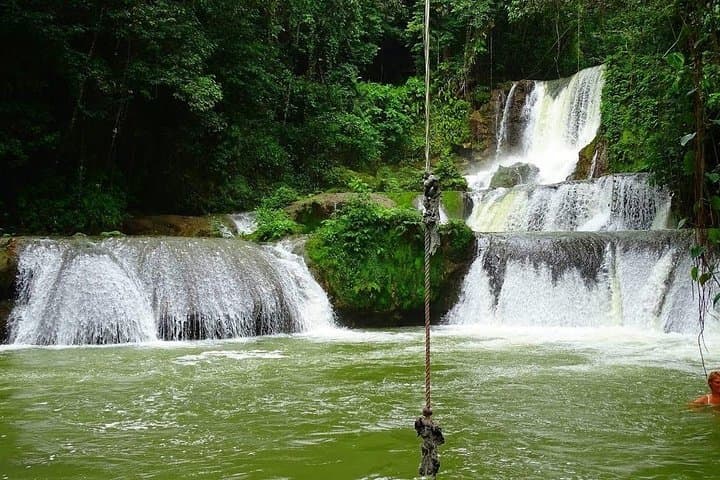 Appleton Estate and YS Falls Private Tour: Rum Tasting & Cascading Pools on Jamaica's South Coast
