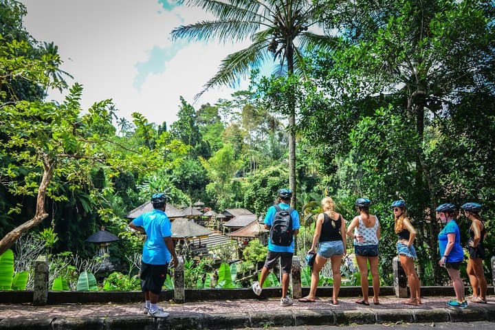 Ubud Countryside Cycling: Rice Terraces, Villages & Temple Route photo 4