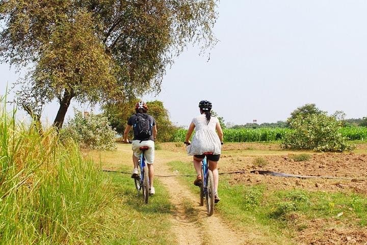 Mekong Island Bike Tour & Farm Lunch on Silk Island photo 2