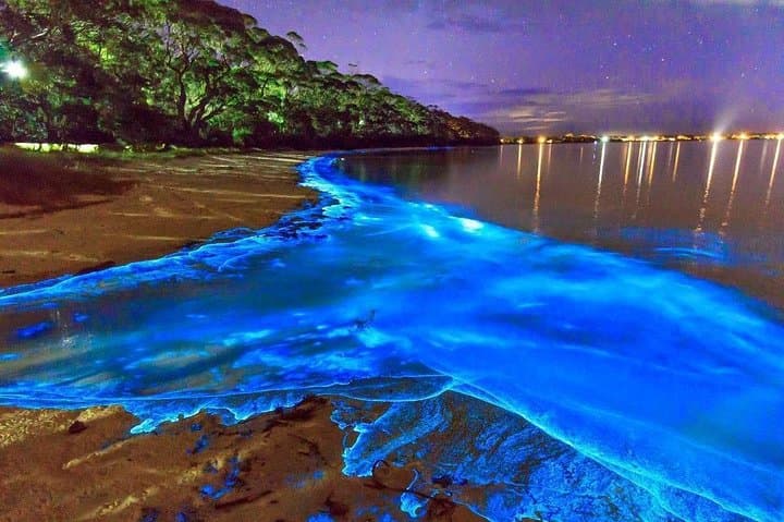 Dunn’s River Falls and Luminous Lagoon: Montego Bay Day-to-Night Private Tour photo 2