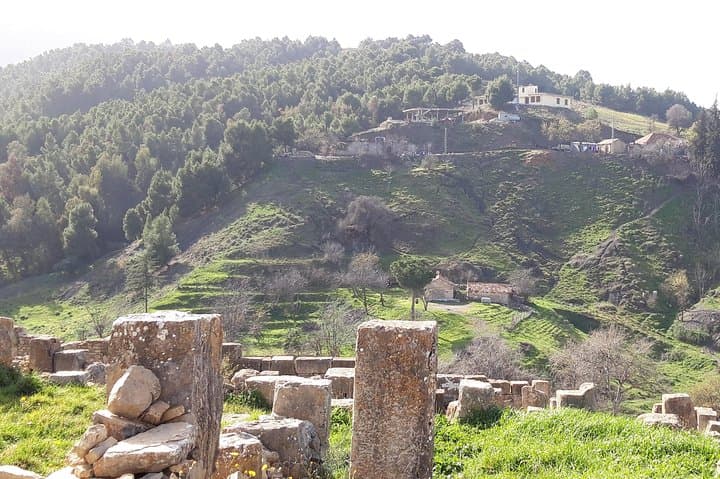 Multi-Day Cultural Tour in Algeria: Algiers, Casbah, Djemila & Constantine photo 4