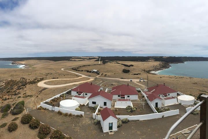 Dudley Peninsula Kangaroo Island 4WD Tour: Cape Willoughby, Pennington Bay & Wildlife photo 2