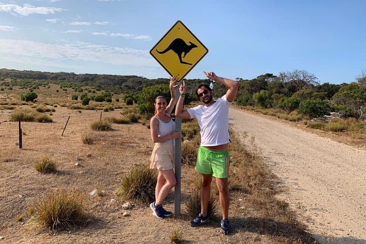 Dudley Peninsula Kangaroo Island 4WD Tour: Cape Willoughby, Pennington Bay & Wildlife