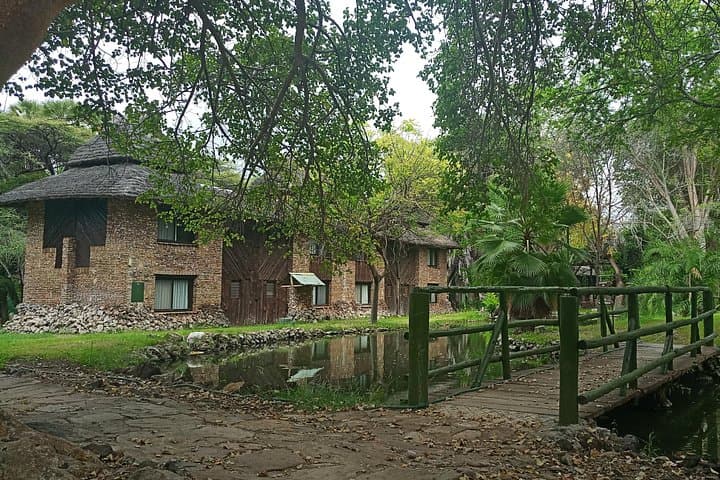 3-Day Samburu Road Safari to Sarova Shaba: Wildlife, River Springs & Samburu Culture