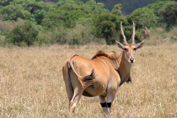 Mt Longonot Hike & Hell's Gate Bike Tour: 2-Day Rift Valley Adventure photo 2