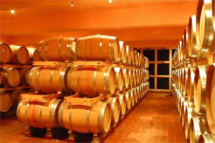 Beirut to Bekaa: Full-Day Private Wine Tasting Tour of Ksara, Kefraya & St Thomas photo 5