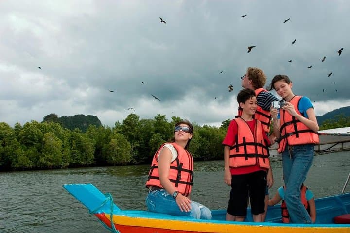 Langkawi Mangrove Boat Tour & SkyCab — Kilim Geoforest Day Trip photo 4