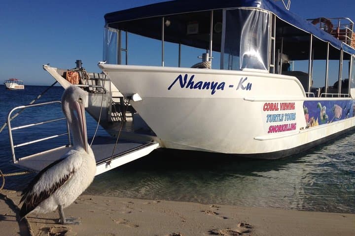 Coral Bay Glass-Bottom Boat: 1-Hour Ningaloo Reef Coral Viewing photo 1