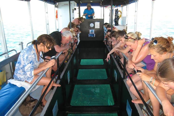 Coral Bay Glass-Bottom Boat: 1-Hour Ningaloo Reef Coral Viewing photo 2