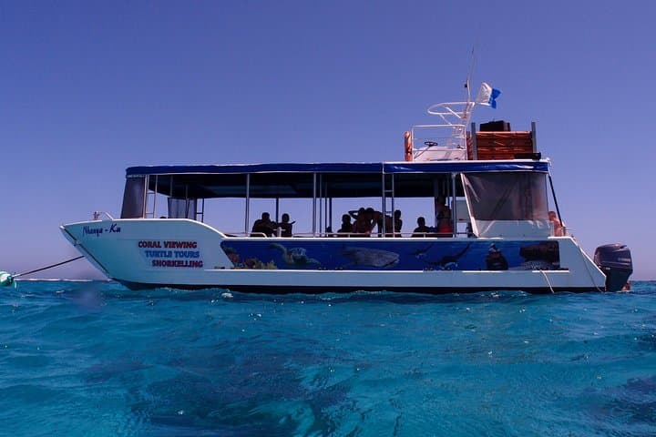 Coral Bay Glass-Bottom Boat: 1-Hour Ningaloo Reef Coral Viewing photo 3