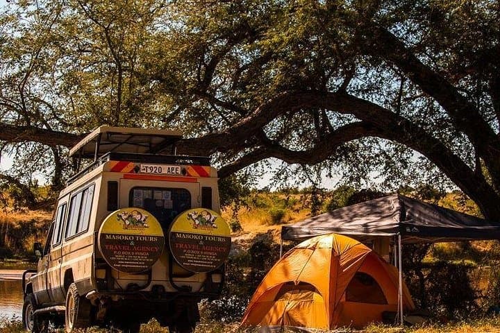 7-Day Ruaha Safari and Zanzibar Combo — Big Game to Indian Ocean Beaches photo 1