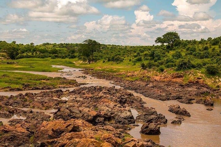 7-Day Ruaha Safari and Zanzibar Combo — Big Game to Indian Ocean Beaches photo 2