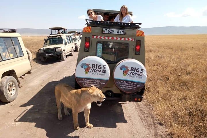 Private Day Safari to Ngorongoro Crater from Arusha photo 3