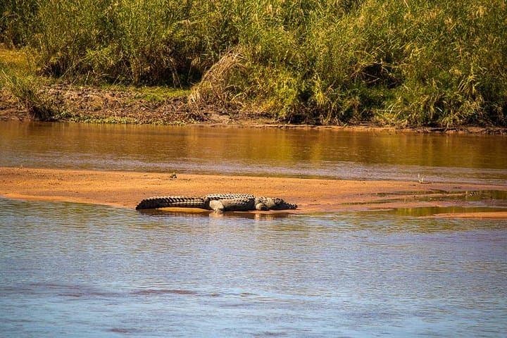 3-Day Selous Game Reserve Safari: Walks, Game Drives & Rufiji River Wildlife photo 4