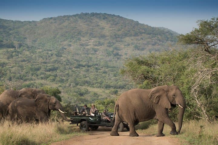 Mikumi Game Drive Safari: 2-Day Wildlife Adventure from Dar es Salaam photo 4