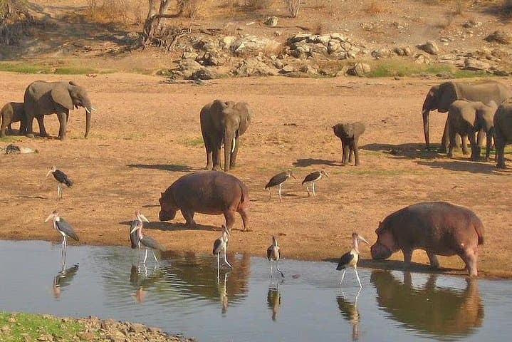 8-Day Southern Circuit Safari: Selous, Mikumi & Ruaha Wildlife Expedition photo 2