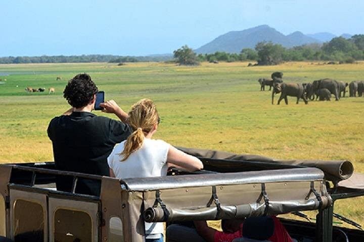 Yala National Park: 5-Day Leopard and Coastal Wildlife Safari photo 1