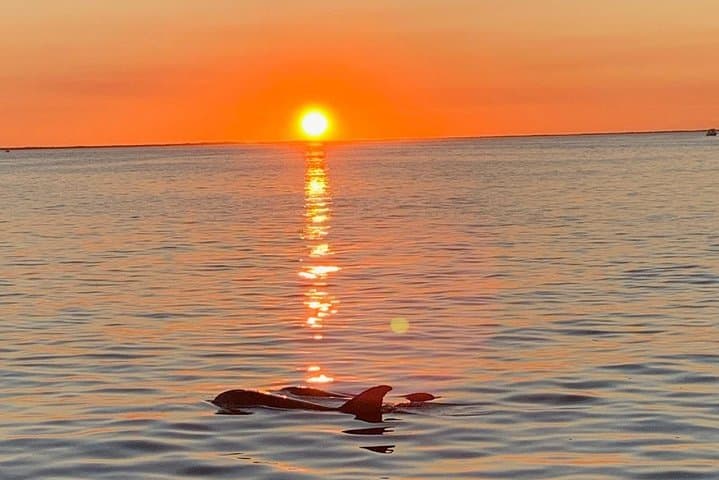 Key Largo Sunset Cruise: Florida Bay Dolphin & Manatee Evening Boat Tour photo 2