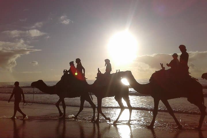 Essaouira Camel Ride: 2-Hour Sunset Tour with Pickup & Drop