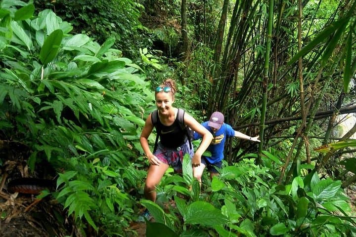 Chiang Mai Elephant Home: One-Day Jungle Hike & Ethical Elephant Experience