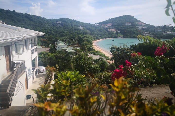 Grand Tours Grenada: Luxury Private Island Tour of Waterfalls, Beaches & Markets photo 3