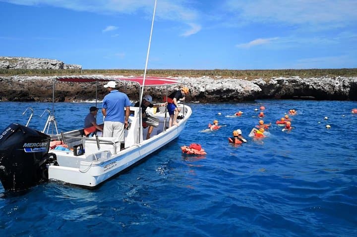 Marietas Islands Snorkel Tour & Hidden Beach — Puerto Vallarta Day Trip photo 6