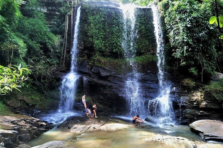 Chiang Mai Elephant Home: One-Day Jungle Hike & Ethical Elephant Experience photo 2