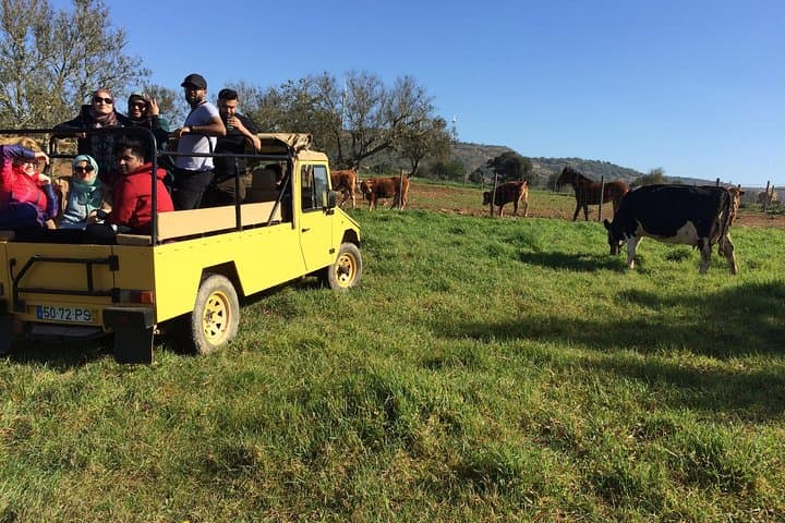 Algarve Jeep Safari: Off‑Road Day Trip from Albufeira photo 2