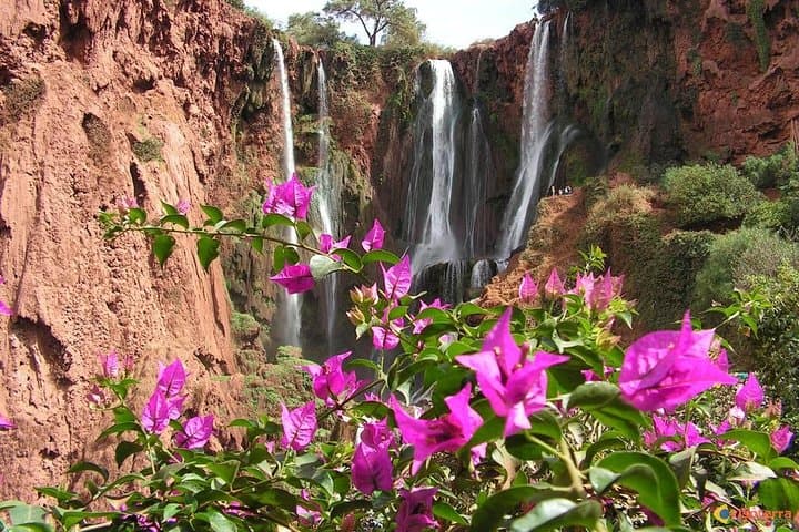 Ouzoud Falls Day Trip from Marrakech — Waterfalls, Monkeys & Berber Trails photo 5