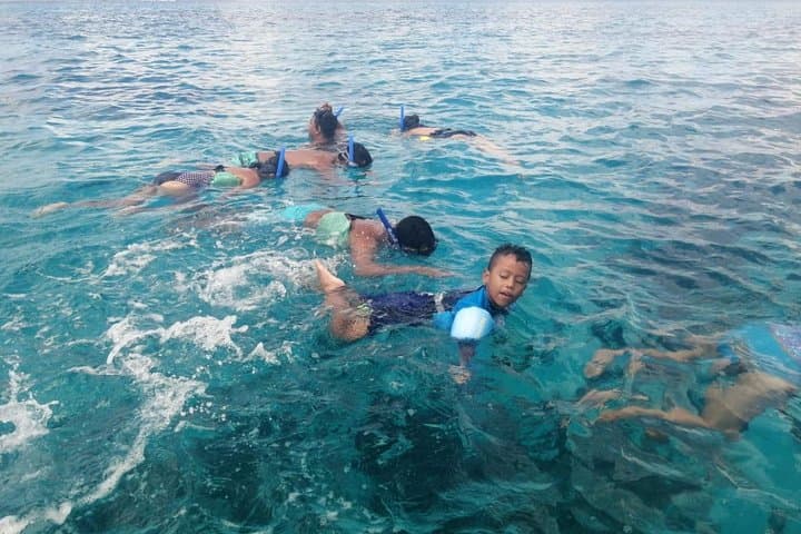 Cozumel Snorkel Experience from Cancun — El Cielo, Palancar & Colombia Reefs photo 5