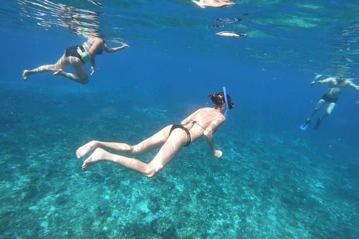 Snorkel El Cielo Cozumel: Palancar, Columbia & Starfish Sandbank Day Trip photo 3