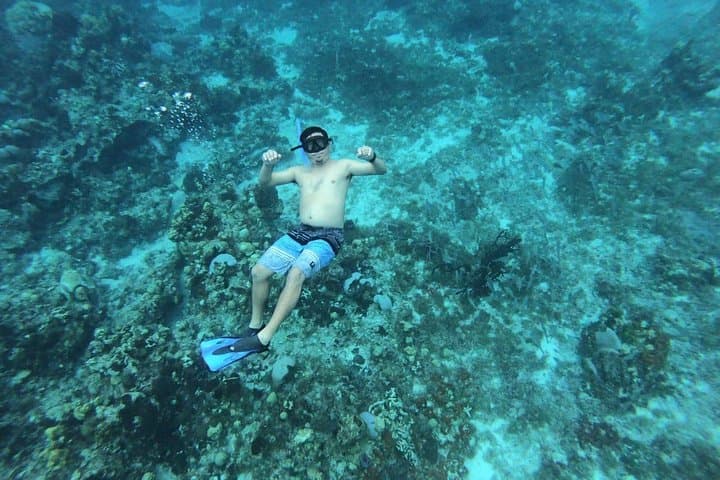 Cozumel Snorkel from Tulum: El Cielo, Palancar & Colombia Reefs