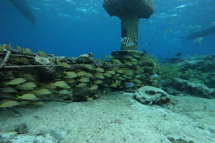 Snorkel El Cielo Cozumel: Palancar, Columbia & Starfish Sandbank Day Trip photo 6
