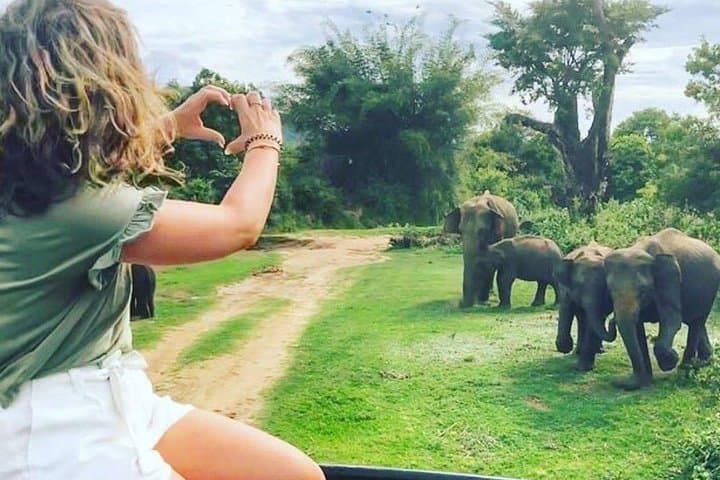 3-Day Sri Lanka Highlights: Sigiriya, Kandy, Nuwara Eliya, Ella & Udawalawe photo 5