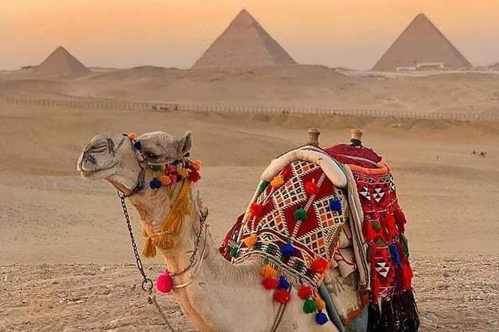 Camel Ride Around Giza Pyramids: Private Tour to the Great Sphinx photo 5