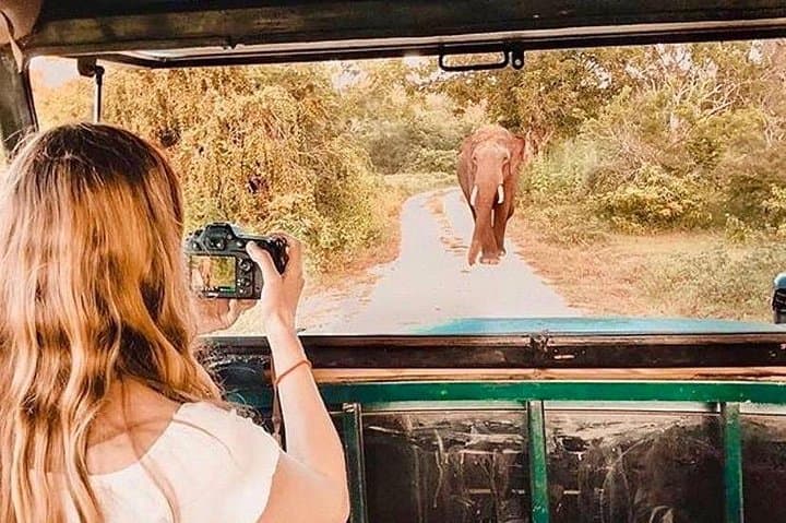 8-Day Sri Lanka Classic: Sigiriya, Kandy, Ella & Yala Private Tour photo 3