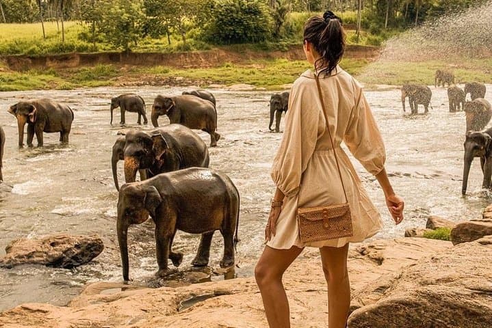 8-Day Sri Lanka Classic: Sigiriya, Kandy, Ella & Yala Private Tour