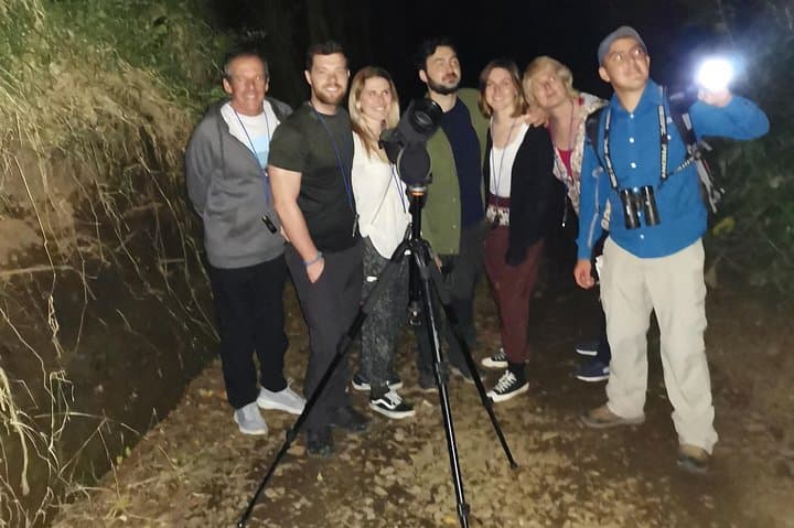 Monteverde Night Tour: Guided Nocturnal Wildlife Walk in the Cloud Forest
